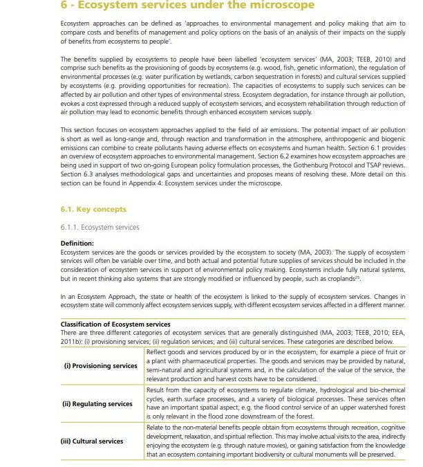 Ecosystem services under the microscope