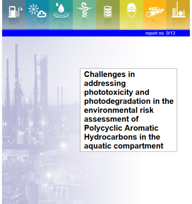 Challenges in addressing phototoxicity and photodegradation in the environmental risk assessment of Polycyclic Aromatic Hydrocarbons in the aquatic compartment