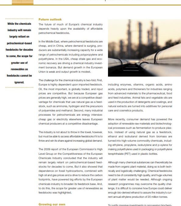 Petrochemical feedstocks: the cornerstone of competitiveness