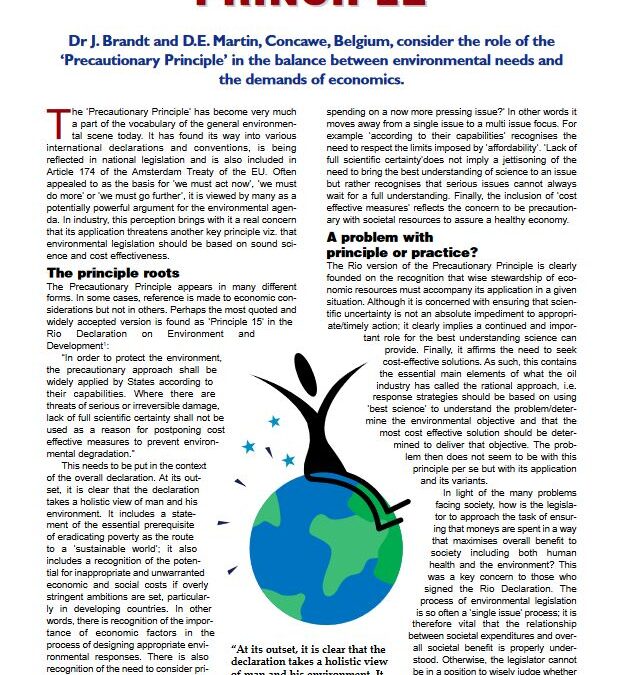 The Precautionary Principle