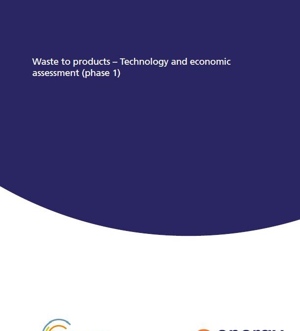Waste to products – Technology and economic assessment (phase 1)
