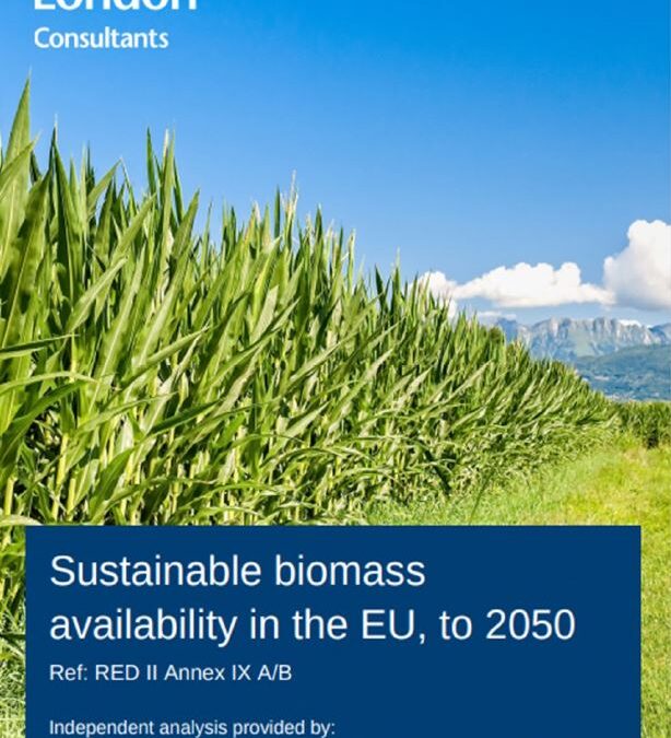 Sustainable biomass availability in the EU, to 2050